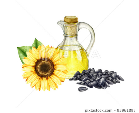 Sunflower oil, flower, seeds. Watercolor illustration. Hand drawn glass bottle, flower, pile of seeds, green leaves. Sunflower organic oil in glass jar element. White background Sunflower oil, flower, seeds. Watercolor illustration. Hand drawn glass bottle, flower, pile of seeds, green leaves. Sunflower organic oil in glass jar element. White background 93961895