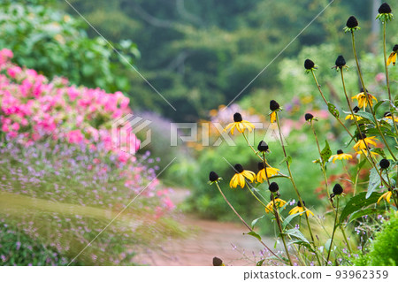 gardening gardening 93962359