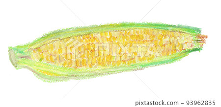 Crayon illustration of corn Crayon illustration of corn 93962835
