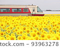 panorama and sunflowers 93963278