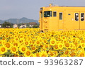  Train and sunflower 93963287