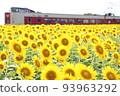 Yakumoto Sunflower 93963292
