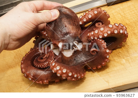 煮章魚（煮章魚） 93963627