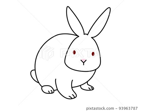 白兔坐在你面前 93963787