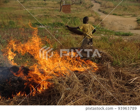 比迪比迪南蘇丹難民安置點的刀耕火種農業（烏干達永貝） 93963789