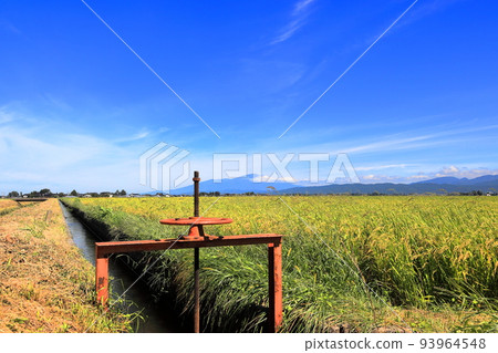 Autumn scenery of Shonai Plain Autumn scenery of Shonai Plain 93964548