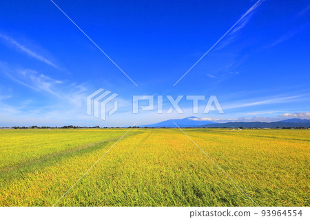 Autumn scenery of Shonai Plain Autumn scenery of Shonai Plain 93964554