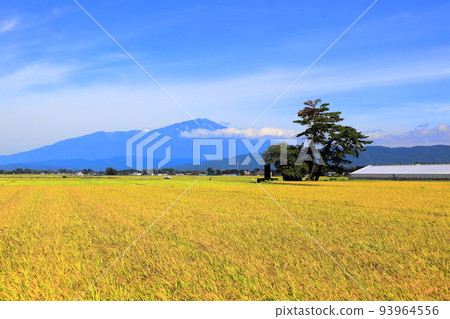 莊內平原的秋景 93964556