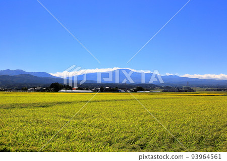 莊內平原的秋景 莊內平原的秋景 93964561