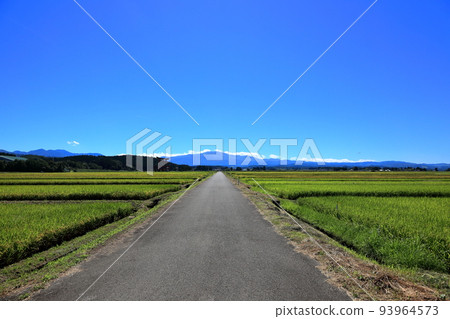 莊內平原的秋景 莊內平原的秋景 93964573
