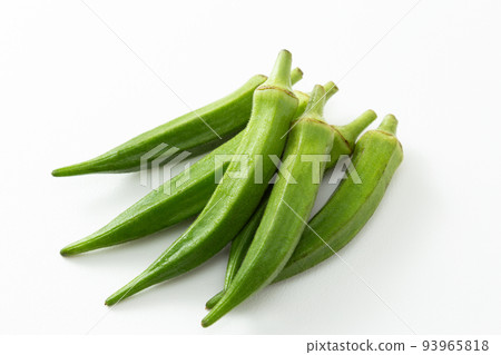 Okra White Back Okra White Back 93965818