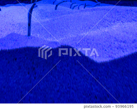 garden eel undersea bottom of the sea sand sandy mountain ocean sea the sea in the sea fish tank aquarium rare pretty creature living thing blue garden eel undersea bottom of the sea sand sandy mountain ocean sea the sea in the sea fish tank aquarium rare pretty creature living thing blue 93966195