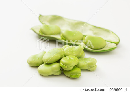 Broad Beans Broad Beans Broad Beans Silkworm Beans Broad Beans 93966644