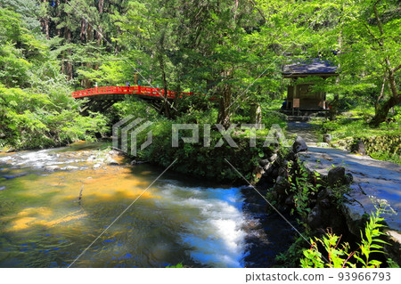 Hakuroyama Yodogawa 93966793