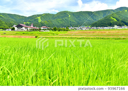 俯瞰溫泉街的野澤溫泉滑雪場（長野縣野澤溫泉村）[2022年8月] 93967166