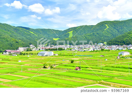 俯瞰溫泉街的野澤溫泉滑雪場（長野縣野澤溫泉村）[2022年8月] 93967169