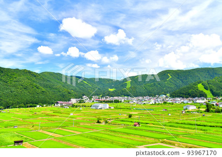 俯瞰溫泉街的野澤溫泉滑雪場（長野縣野澤溫泉村）[2022年8月] 93967170