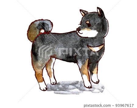 水彩風格黑色 shiba 插圖 93967617