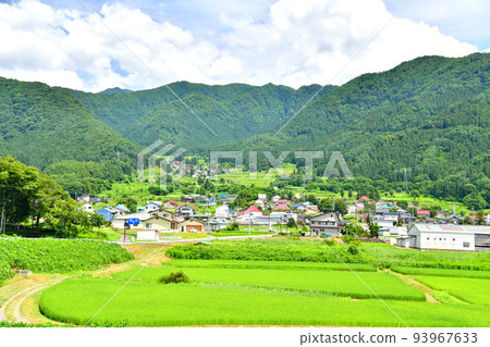 Mizuho, Iiyama City Looking towards Fukushima Nitta (Terraced rice fields) (Iiyama City, Nagano Prefecture) [August 2022] 93967633