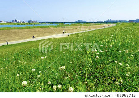 淀川花仙敷公園 從左岸的堤岸眺望豐里大橋 大阪市 淀川花仙敷公園 從左岸的堤岸眺望豐里大橋 大阪市 93968712