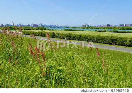 淀川花仙敷公園：從大阪市左岸的綠草遠眺豐里大橋 93968766