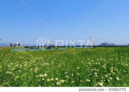 淀川花仙敷公園:從大阪市左岸的綠草遠眺豐里大橋 淀川花仙敷公園:從大阪市左岸的綠草遠眺豐里大橋 93968770