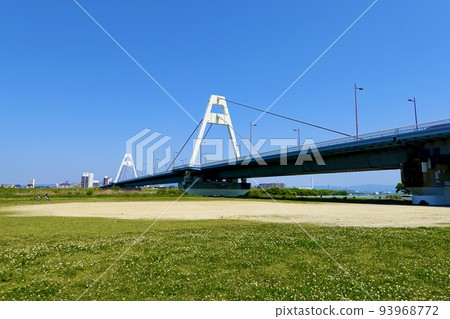 淀川花仙敷公園,左岸,豐里橋在大阪市草坪和場地上的景色 淀川花仙敷公園,左岸,豐里橋在大阪市草坪和場地上的景色 93968772