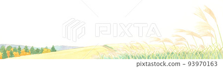 Watercolor painting: pampas grass Watercolor painting: pampas grass 93970163