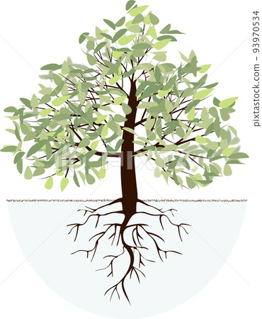 trees and roots 93970534