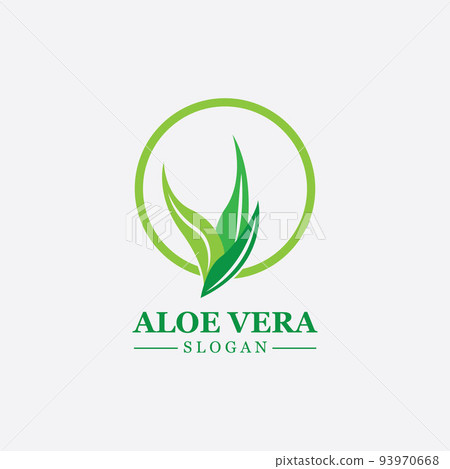 Green plant aloe vera logo vector icon symbol many benefits 93970668