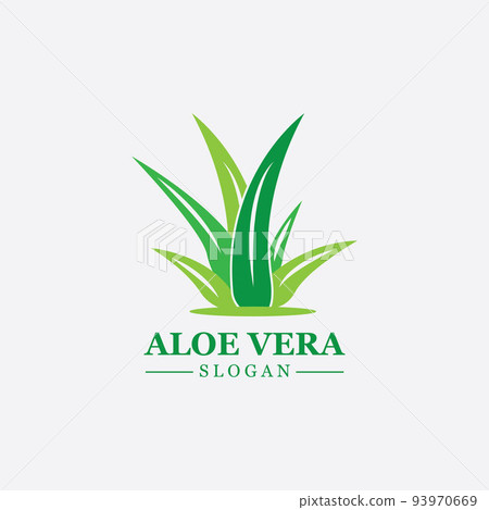 Green plant aloe vera logo vector icon symbol many benefits 93970669