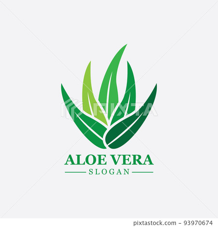 Green plant aloe vera logo vector icon symbol many benefits 93970674