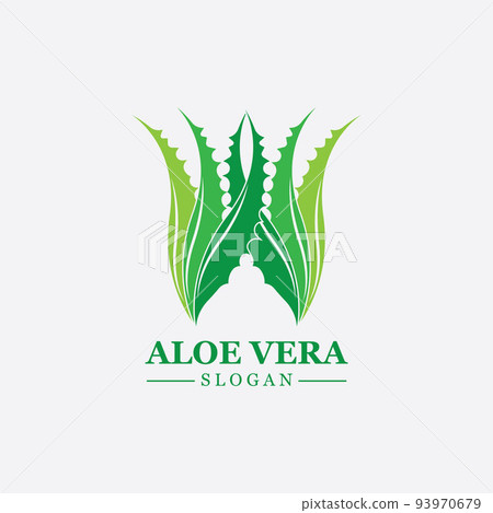 Green plant aloe vera logo vector icon symbol many benefits 93970679