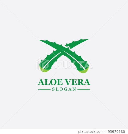 Green plant aloe vera logo vector icon symbol many benefits 93970680