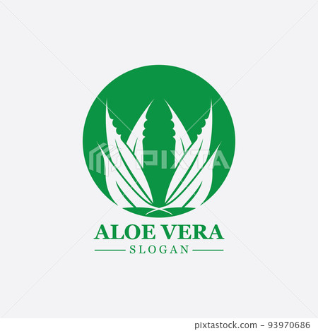 Green plant aloe vera logo vector icon symbol many benefits 93970686