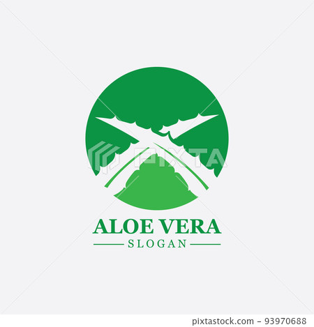 Green plant aloe vera logo vector icon symbol many benefits Green plant aloe vera logo vector icon symbol many benefits 93970688