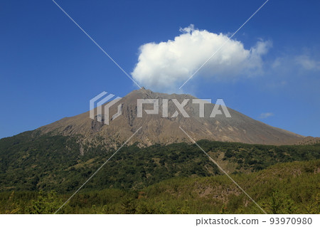 Sakurajima seen from Arimura Lava Observatory in autumn (November 2021, Kagoshima City, Kagoshima Prefecture) 93970980
