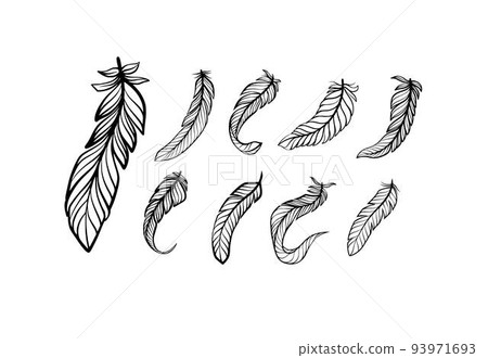 Collection of Feather Illustrations on White Background Collection of Feather Illustrations on White Background 93971693