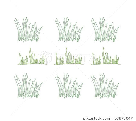 Set of Grass Outline Green on White Background Set of Grass Outline Green on White Background 93973047