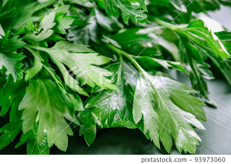 Bunch of parsley stem closeup view Bunch of parsley stem closeup view 93973060