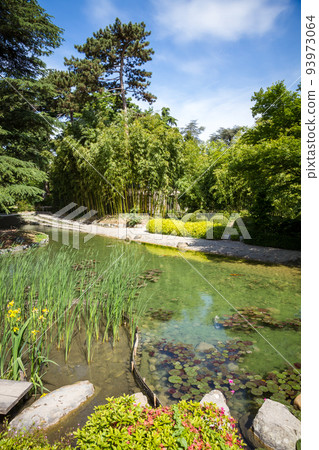 Pond in a japanese garden 93973064