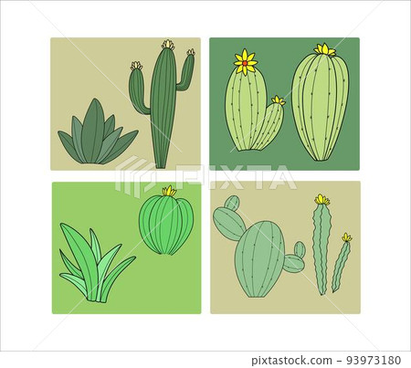 Collection of Cactus with Background Green  93973180
