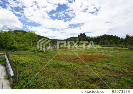 群馬縣吾妻郡草津白根由美池沿國道 292 號線,在沼澤中的 Watasuge 山頂附近 2022 年 6 月 28 日 群馬縣吾妻郡草津白根由美池沿國道 292 號線,在沼澤中的 Watasuge 山頂附近 2022 年 6 月 28 日 93973189