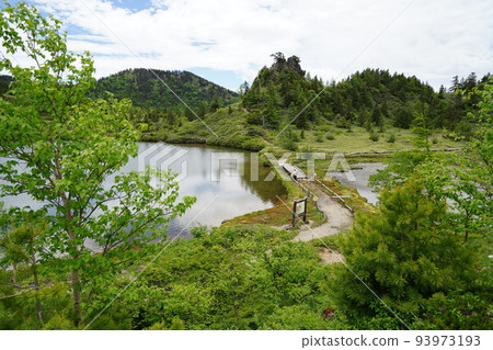 群馬縣吾妻郡草津白根由美池沿國道 292 號線，在沼澤中的 Watasuge 山頂附近 2022 年 6 月 28 日 93973193
