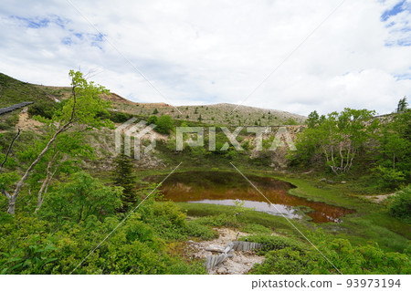 群馬縣吾妻郡草津白根由美池沿國道 292 號線,在沼澤中的 Watasuge 山頂附近 2022 年 6 月 28 日 群馬縣吾妻郡草津白根由美池沿國道 292 號線,在沼澤中的 Watasuge 山頂附近 2022 年 6 月 28 日 93973194