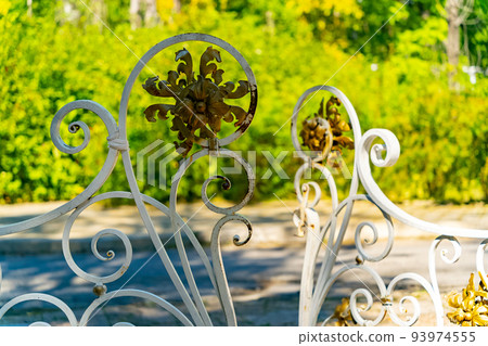 Forged gates in the city park during the day. Forged gates in the city park during the day. 93974555