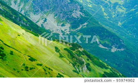 Panoramic view of sunny. A magnificent highland landscape with a beautiful spruce forest, sunlit hills and rocks against a mountain range 93974902