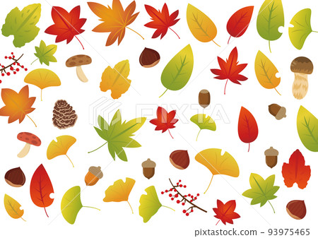 autumn tree leaves 93975465