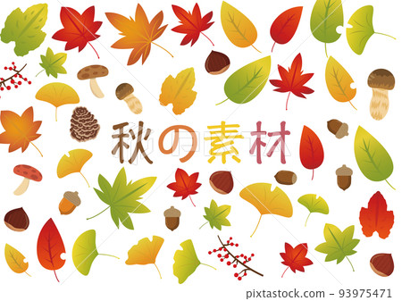 秋季材料 秋季材料 93975471