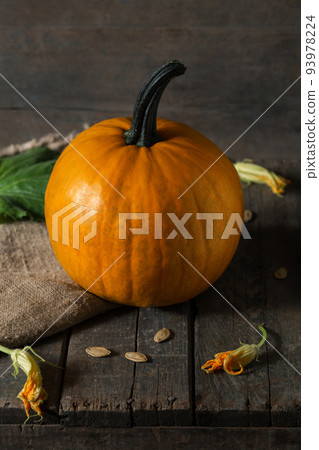 orange pumpkin on wooden boards for halloween holiday. Flowers, seeds, burlap orange pumpkin on wooden boards for halloween holiday. Flowers, seeds, burlap 93978224